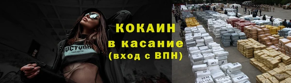 мдпв Богданович