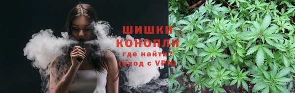 мдпв Богданович